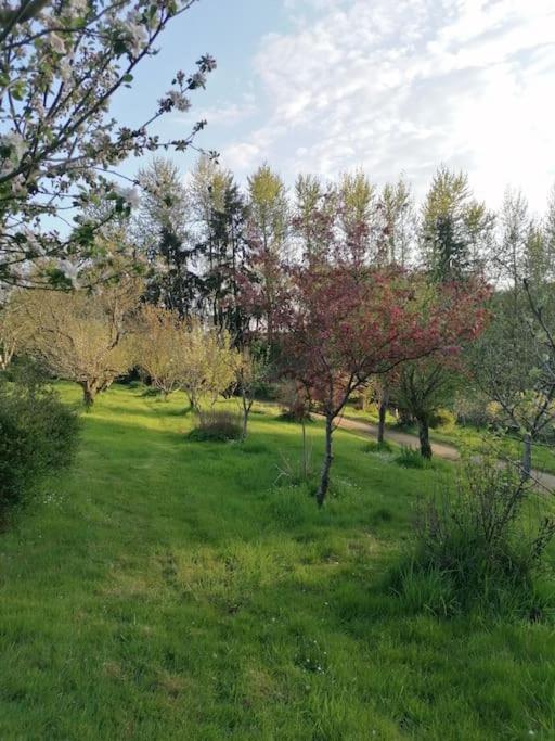 Chalet En Pleine Nature Au Bord D'Un Etang Lanvallay Bagian luar foto