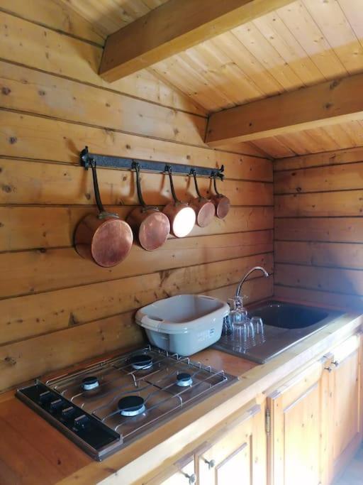 Chalet En Pleine Nature Au Bord D'Un Etang Lanvallay Bagian luar foto