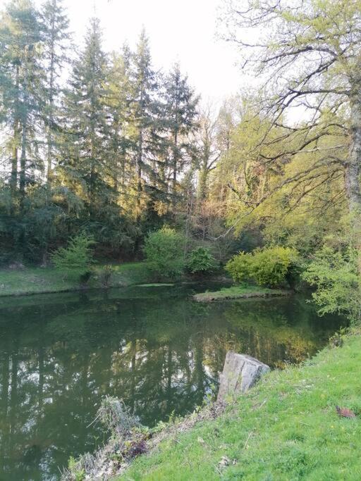 Chalet En Pleine Nature Au Bord D'Un Etang Lanvallay Bagian luar foto