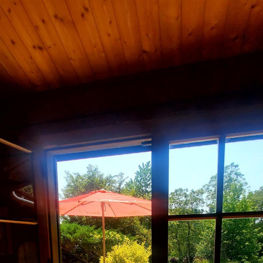Chalet En Pleine Nature Au Bord D'Un Etang Lanvallay Bagian luar foto